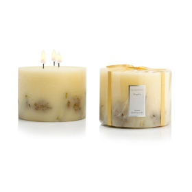 Angelica Large - 3 Wick